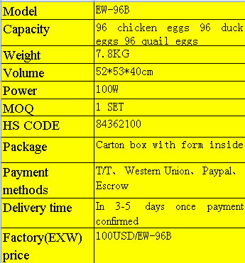 Newest Mini Egg Making Machine Automatic Eggs Hatching Machine 3