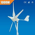 1000 w home using wind turbine