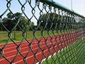 PVC coated chain link fence protecting