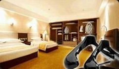 Clothes hangers for hotel