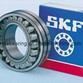 Bs2b321642b Oil Pump Bearing/Spherical Roller Bearing 1