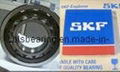 NSK SKF Timken Bearing (6307-2RS)