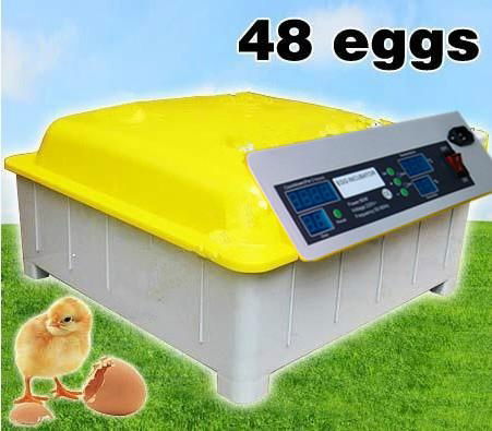  HOT SALE mini egg incubator 2