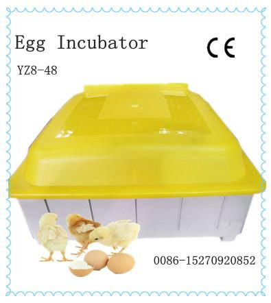  HOT SALE mini egg incubator 4