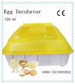  HOT SALE mini egg incubator 4