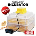 mini goose egg incubator for sale with