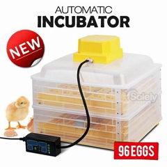 mini goose egg incubator for sale with high quality