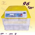 HOT SALE mini turtle egg incubator 2