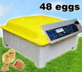 HOT SALE mini duck egg incubator for family 1
