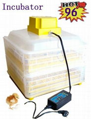 Precise design mini quail egg incubator with favorable price 