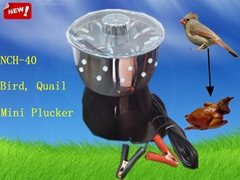 Edward mini quail plucker