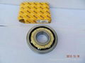 insulated deep groove ball bearing 6415 M/C3   1