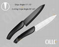 Salix Leaf Series Handle Ceramic Knife 4