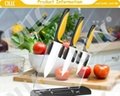 World's best Paring Knife for Laborious Housewives   4