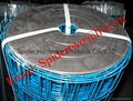 PVC Coated Welded Wire Mesh 1