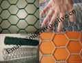 Hexagonal Wire Mesh  1