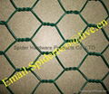 PVC Coated Hexagonal Wire Mesh  1