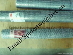 BWG12~24 Hexagonal Wire Mesh 