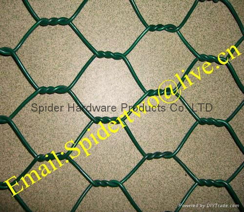 BWG12~24 Hexagonal Wire Mesh  2