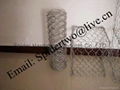 BWG12~24 Hexagonal Wire Mesh  3