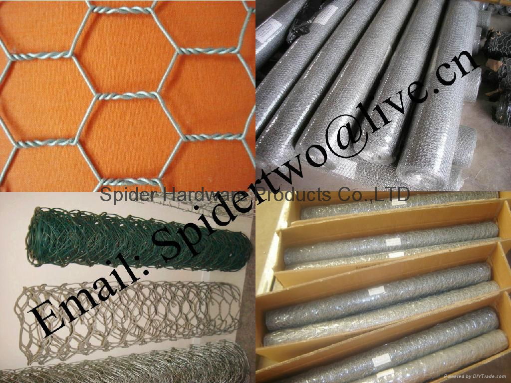 BWG12~24 Hexagonal Wire Mesh  4