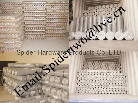 BWG12~24 Hexagonal Wire Mesh  5