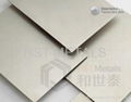 Titanium Plate