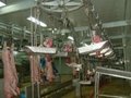 Slaughterhouse Equipment (Viscera Synchronous Convey Systems) 3