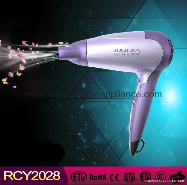 Compact Plastic Hair Blower for Hotel 2