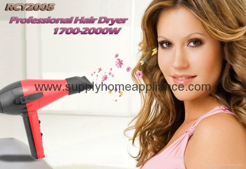 AC motor Hair Dryer Professional for Salon 2