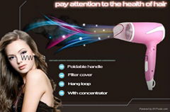 Best Bio Ionic Travel Hair Blow Dryer Manufacturer