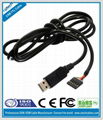 FTDI USB TTL Cable 2