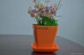 Cheap Highlight Square Decorative Flower Pots 2