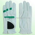 Golf glove