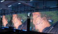 Indoor LED display screen rental and fixed 1