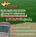 High quality cheap prices silica sand for synthetic grass From Egypt 5