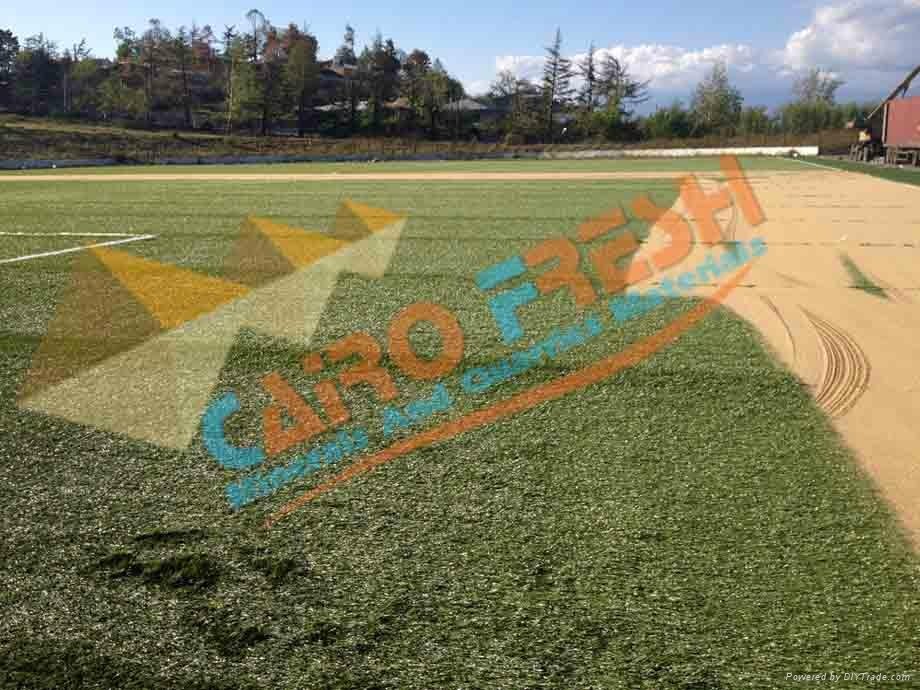 Dry high purity silica sand for artificial grass 2