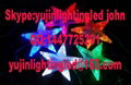 High Quality and low price Led Adornment