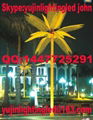 YuJin 6m high LED coconut palm tree light (SL-C-I-003)