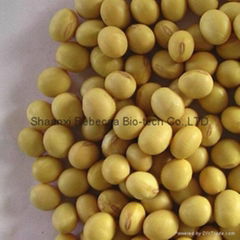 Soybean Extract 