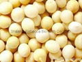 Soybean Extract  2