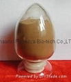 Leek Seed Extract 1