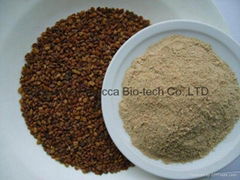 Fenugreek Extract