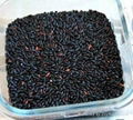 Black Rice Extract      1