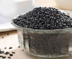 Black Rice Extract      2