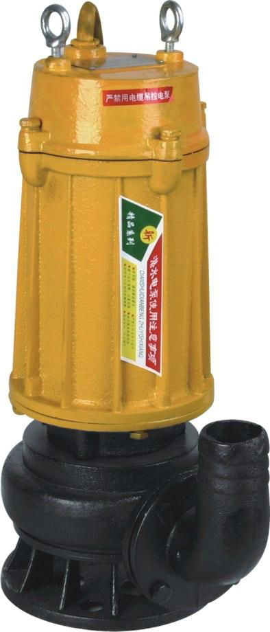 Submersible Sewage Pump  3