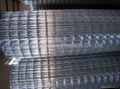 Welded Wire Mesh 2