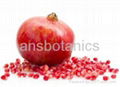 Pomegranate Hull Extract 1