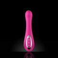 Sex Toy Female Vibrator Nalone