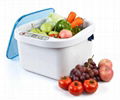  Ultrasonic and Ozone Vegetable & Fruit Sterilizer KD-6001